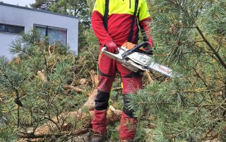 Julian Thumel in voller Montur mit Kettensäge in der Hand